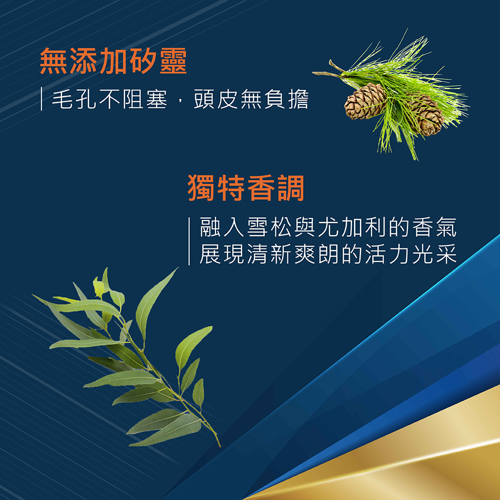 脫普 頂極男士洗髮精750gx3入(多款任選)