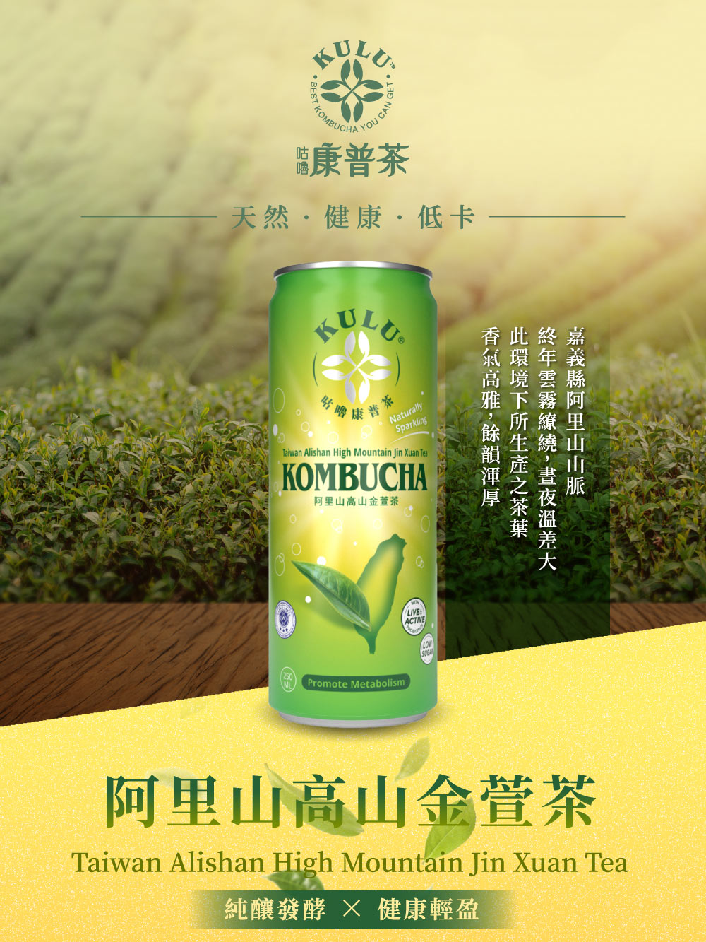 咕嚕康普茶(阿里山高山金萱茶)