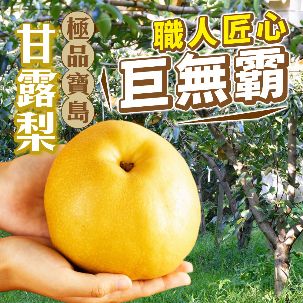 【雪莉朵辣嚴選】寶島甘露梨 A級大果5公斤箱(六粒裝)/帝王級特大果6.5公斤箱(五粒裝)