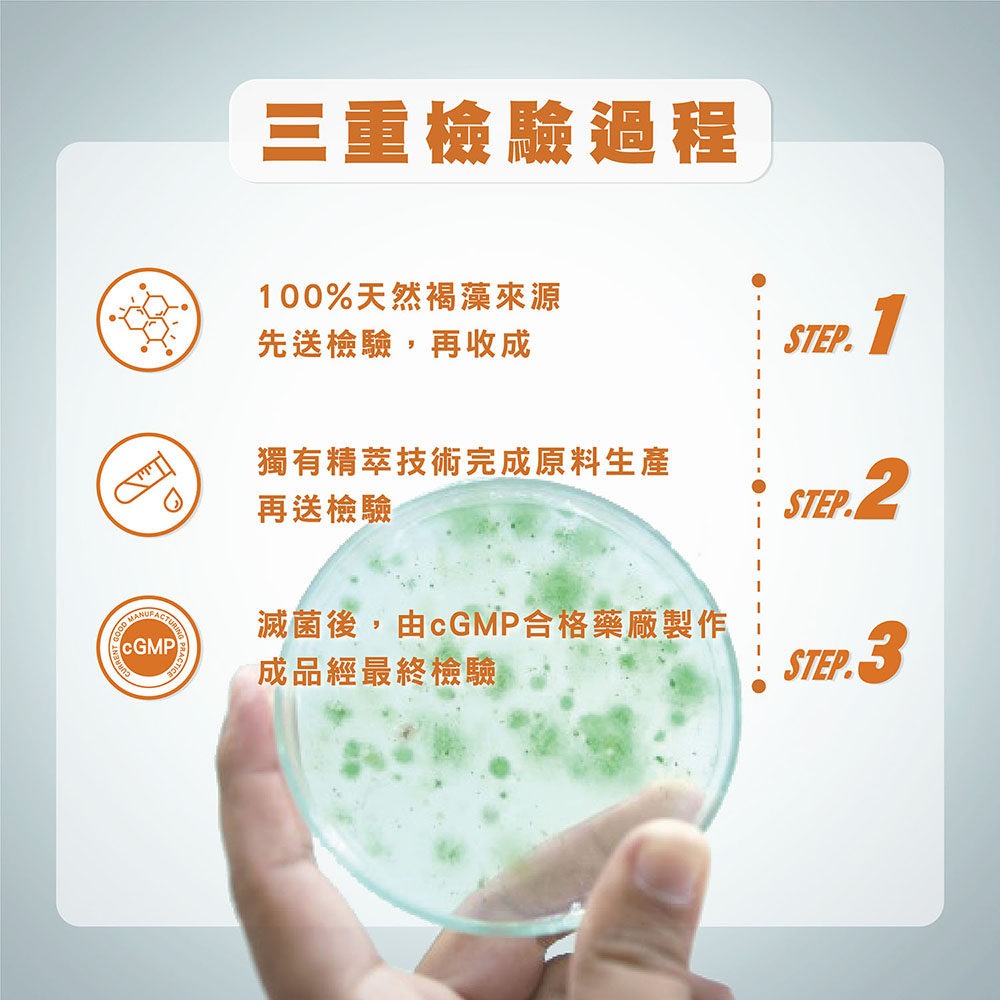 Hi-Q 褐抑定 加強配方 小分子褐藻醣膠 膠囊480顆/盒 