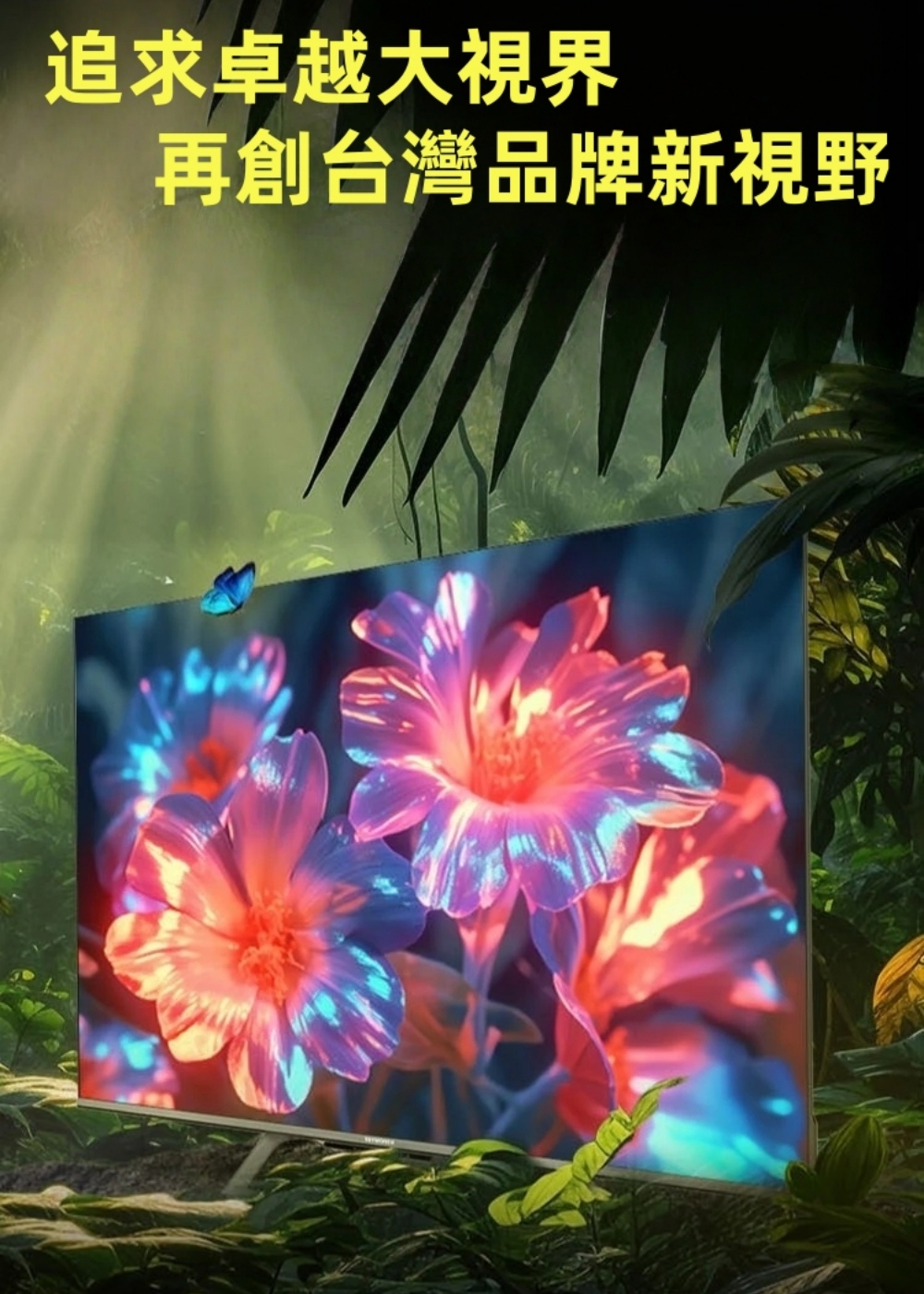 DigiKing 數位新貴 頂級43吋LG IPS面板淨藍光液晶電視