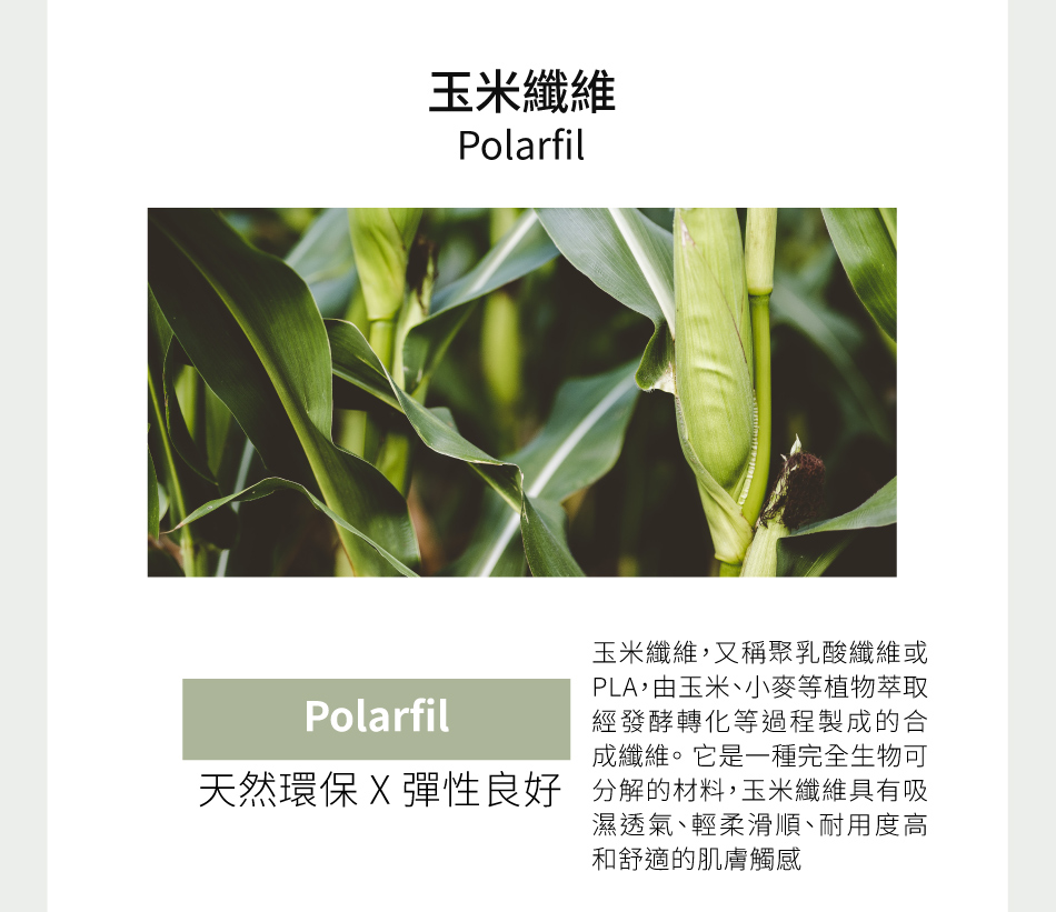 台灣製 60支100%純天絲 冰絲涼感被 雙人150x190cm