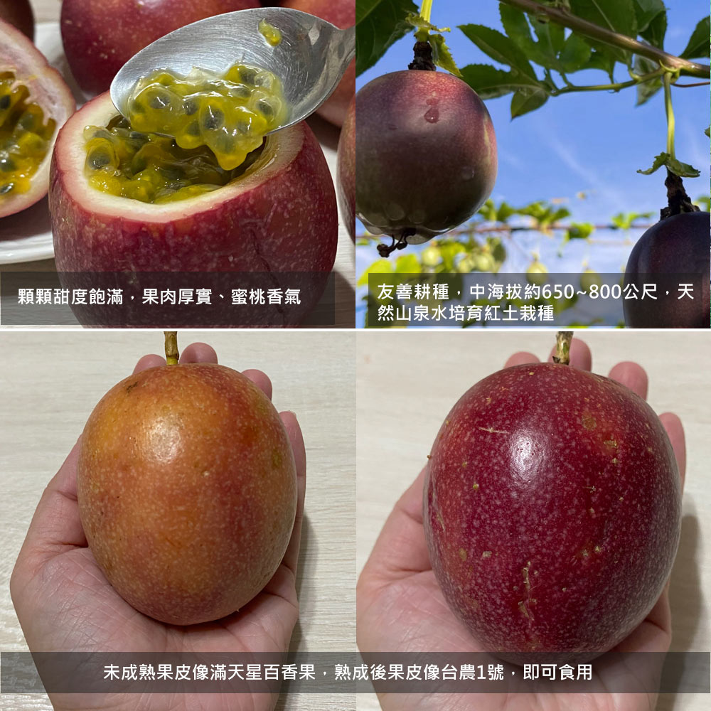 【南投埔里大坪頂直送】特級雙子星百香果5台斤(產地直送_友善耕種)