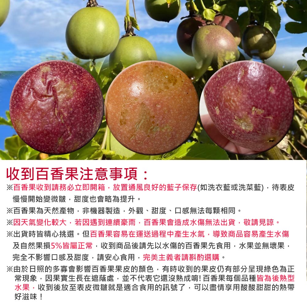 【南投埔里大坪頂直送】特級雙子星百香果5台斤(產地直送_友善耕種)