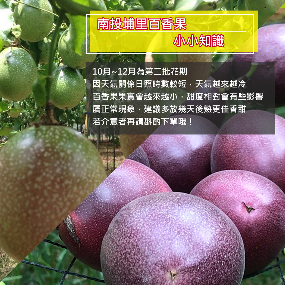 【南投埔里大坪頂直送】特級滿天星百香果5台斤(產地直送_友善耕種)