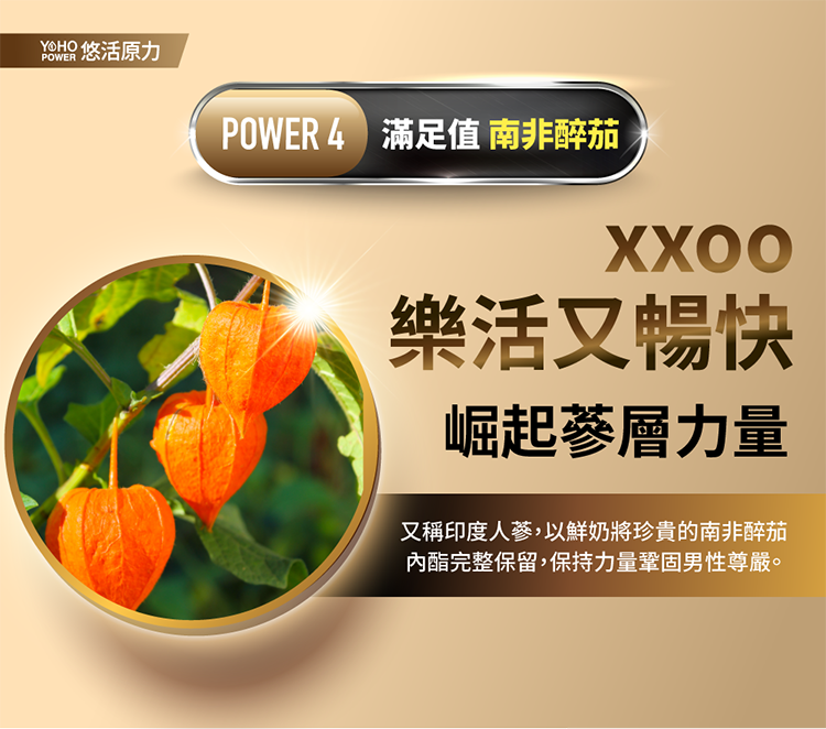 原力黑馬卡精胺酸粉包(30包/盒) 多件優惠