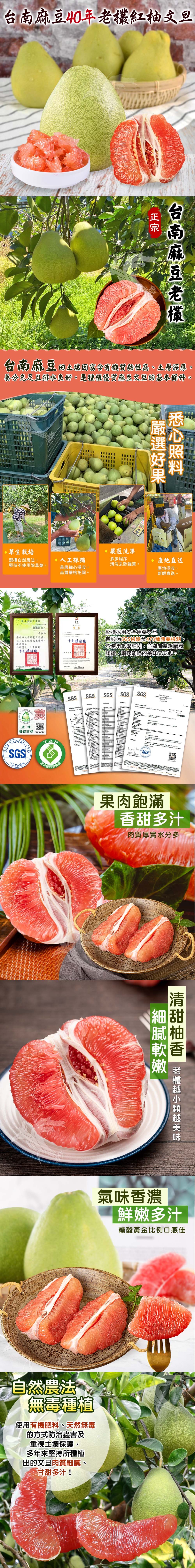 【禾鴻】預購 台南麻豆40年老欉文旦紅柚禮盒10斤/箱(6-10顆/箱)