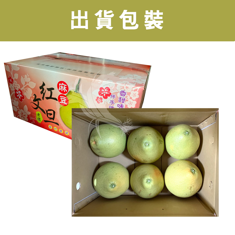 【禾鴻】預購 台南麻豆40年老欉文旦紅柚禮盒10斤/箱(6-10顆/箱)