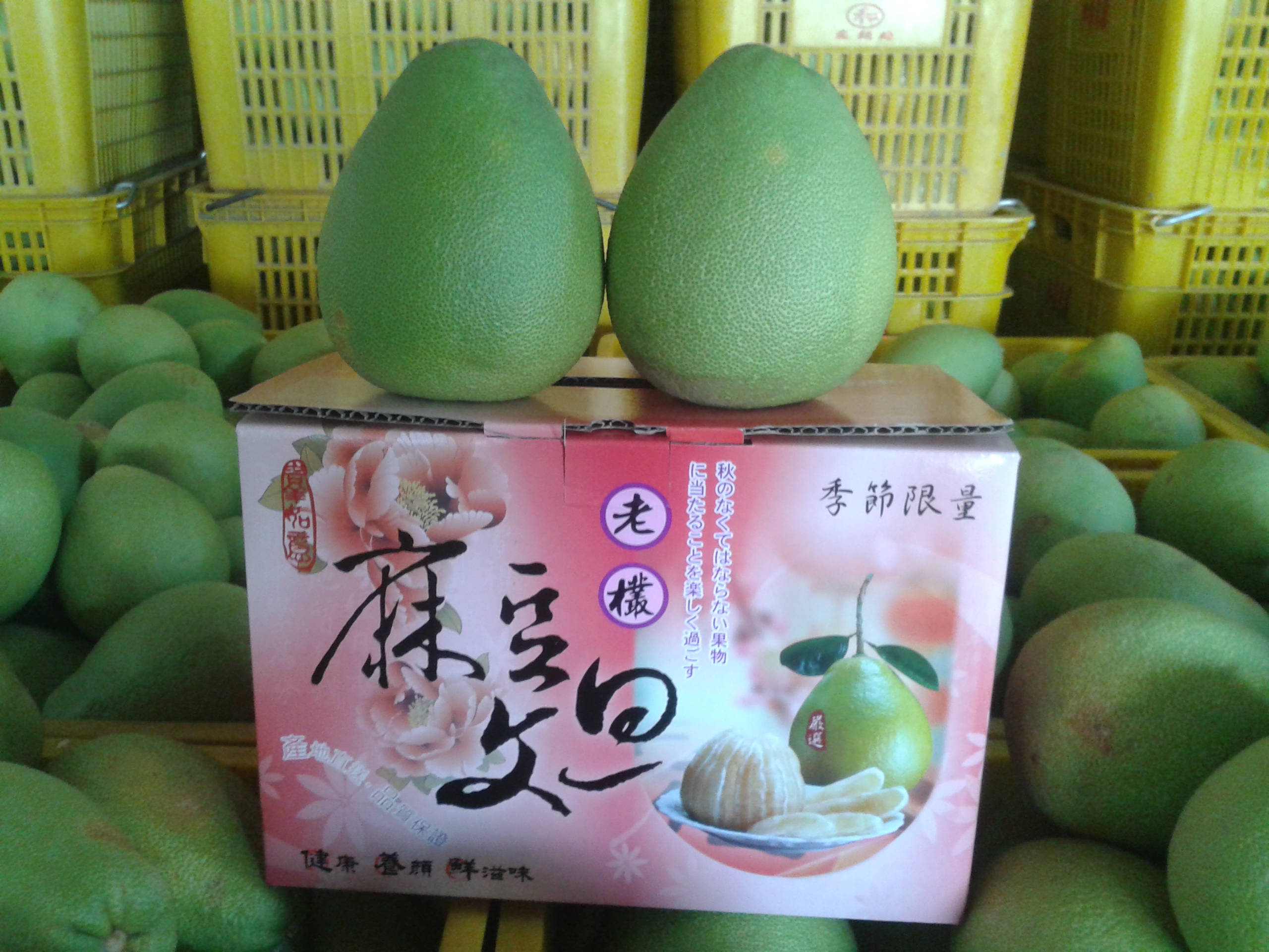 產銷履歷50年台南麻豆正宗甜滋老欉文旦禮盒(8/25開始出貨)