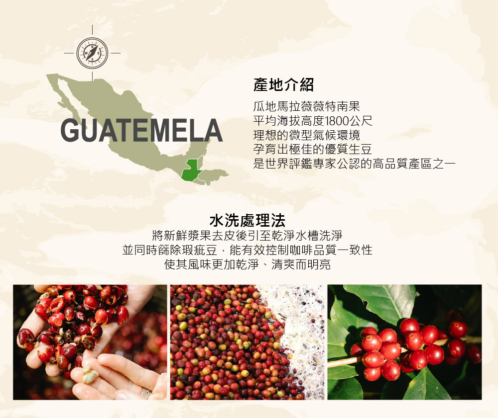 【Casa卡薩】世界莊園單品濾掛咖啡綜合100入