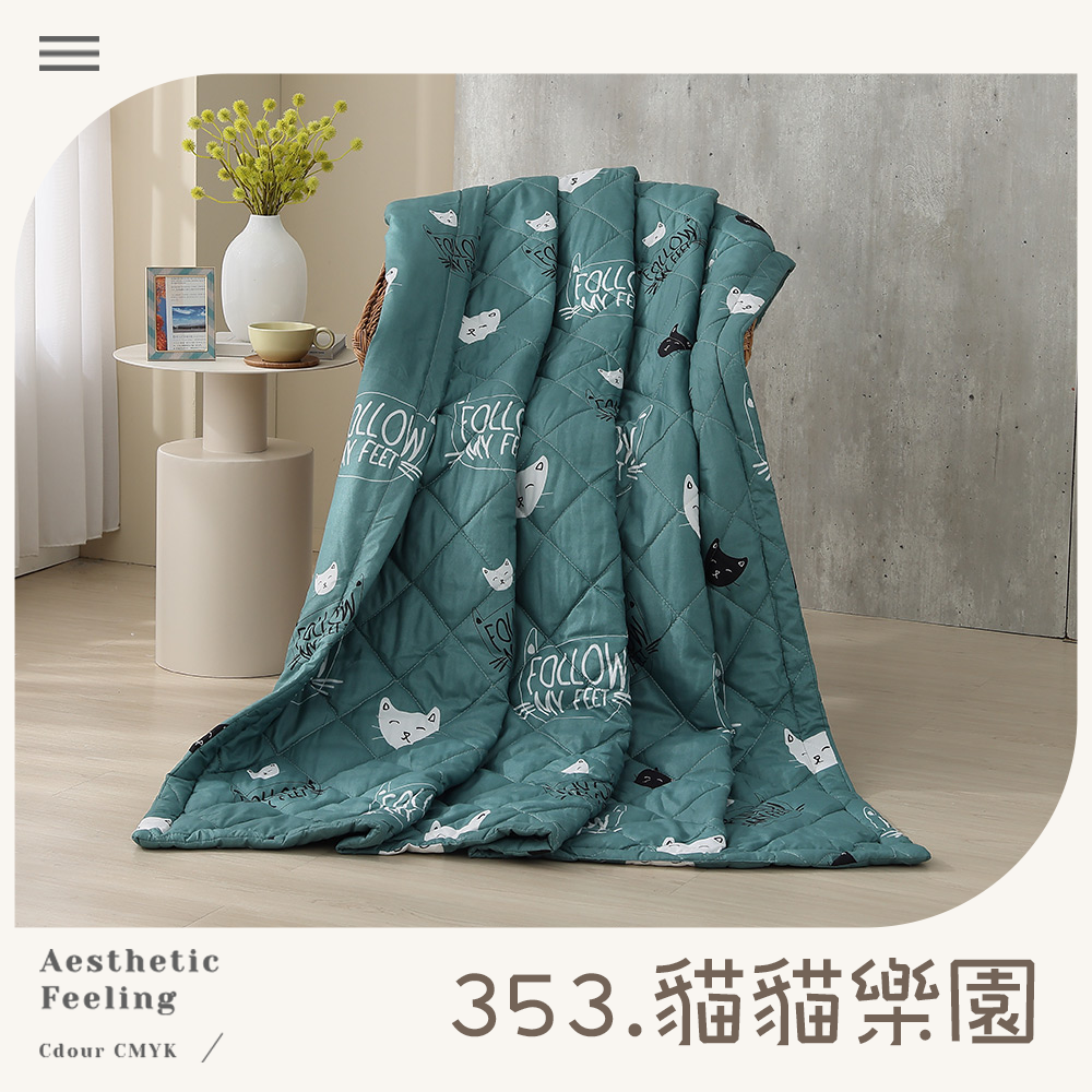 (20250828 新增款式)【BEST】台灣製造 雲絲棉 5x6 尺鋪棉涼被 空調被 多款任選 