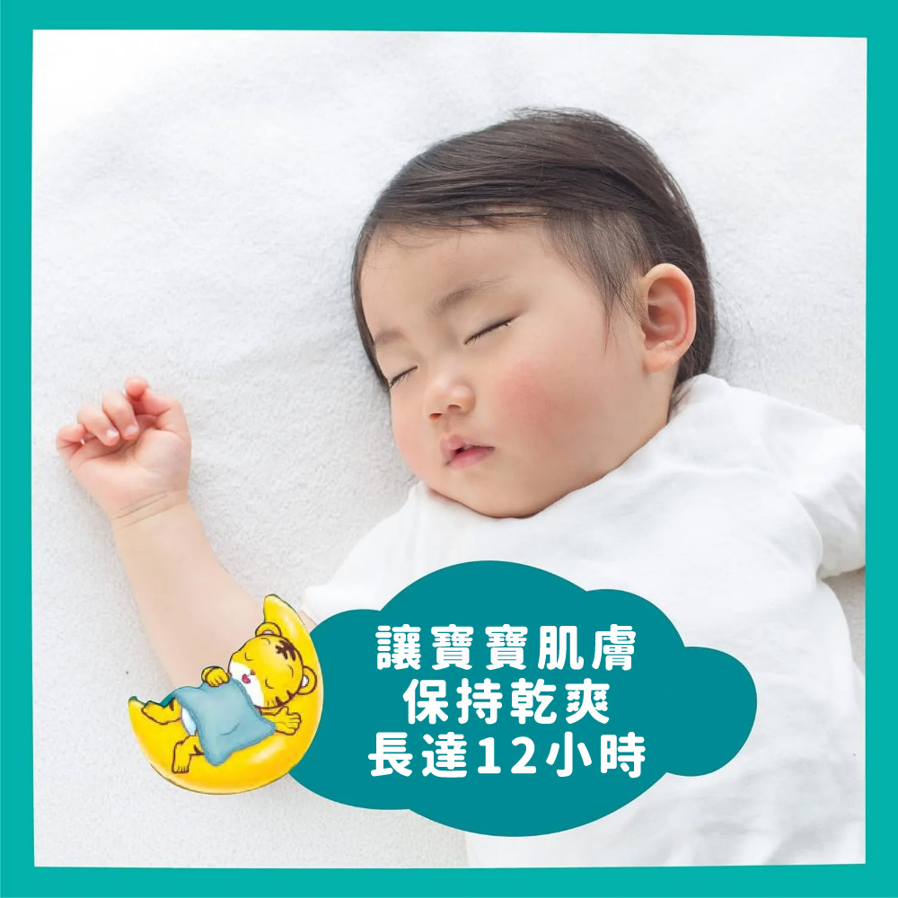 Pampers 幫寶適巧虎拉拉褲 超吸收 褲型尿布 M-2XL 箱購