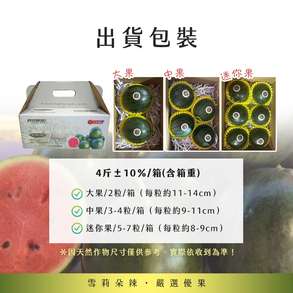 預購【雪莉朵辣嚴選】馬卡龍 紅肉小西瓜 中果（3-4粒）4斤箱