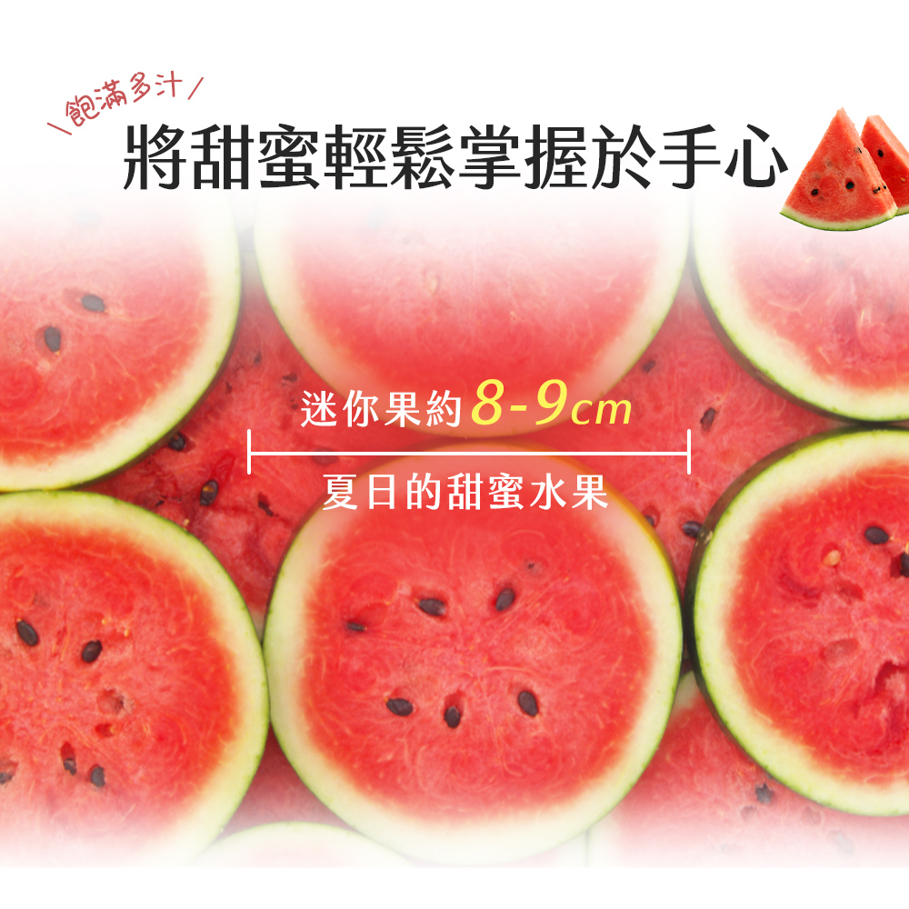 預購【雪莉朵辣嚴選】馬卡龍 紅肉小西瓜 迷你果（5-7粒）4斤箱