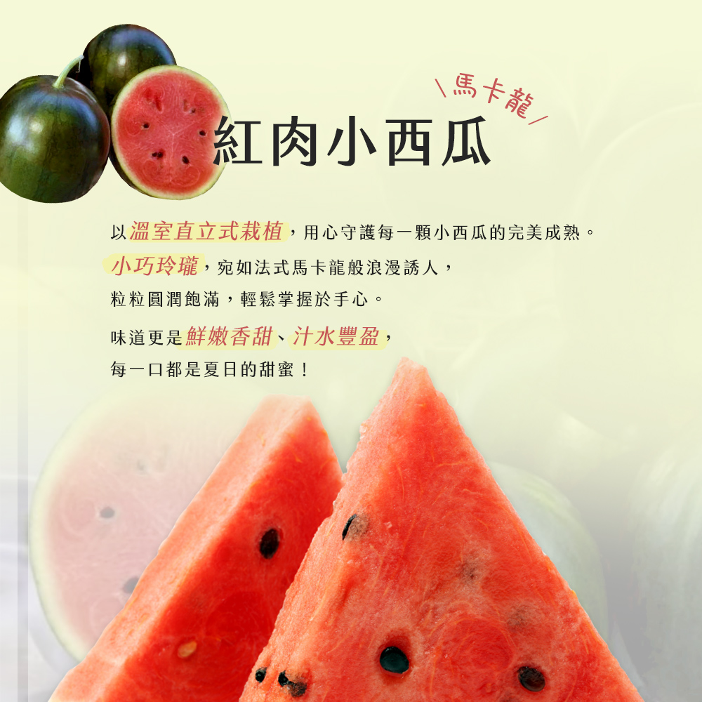 預購【雪莉朵辣嚴選】馬卡龍 紅肉小西瓜 中果（3-4粒）4斤箱