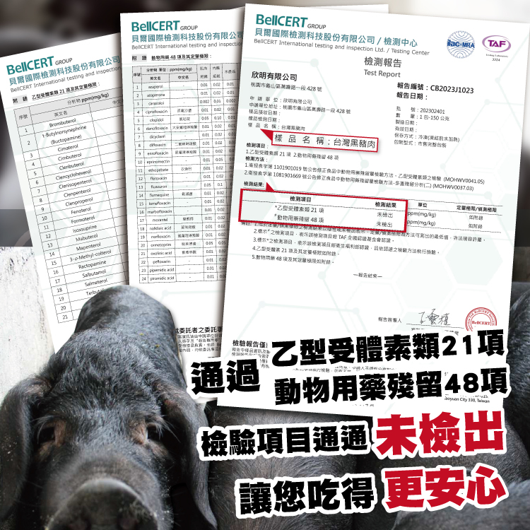 【勝崎生鮮】國產嚴選極品黑豚肉片(鮮嫩梅花+霜降五花+菲力里肌)-3款任搭任選