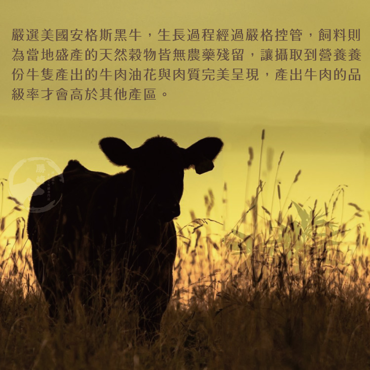 【勝崎生鮮】美國安格斯總統級霜降牛排600g-比臉大/超厚切~任選，滿足您的肉食渴望!