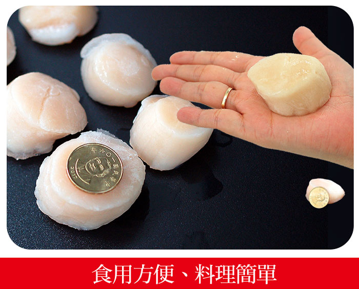 【築地一番鮮】北海道生食級刺身用大顆M干貝10顆(380g/包)