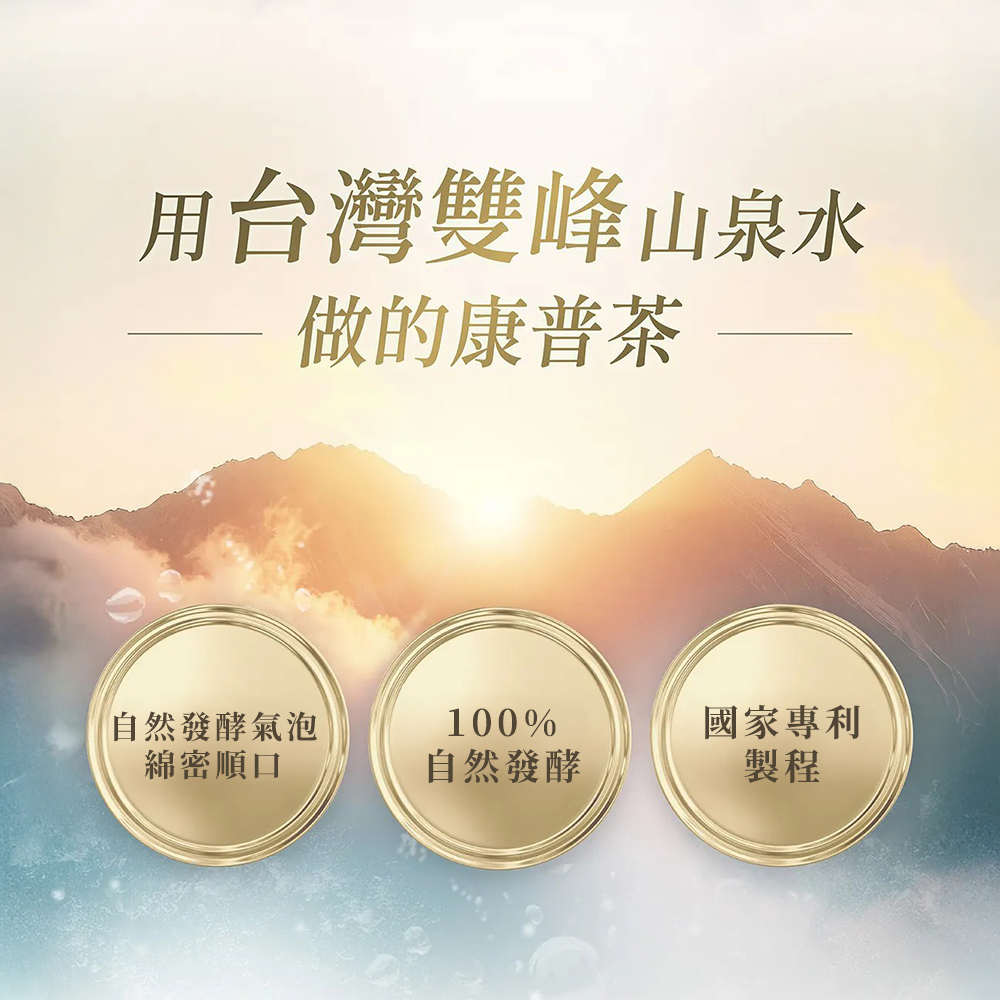 咕嚕康普茶(經典原味)