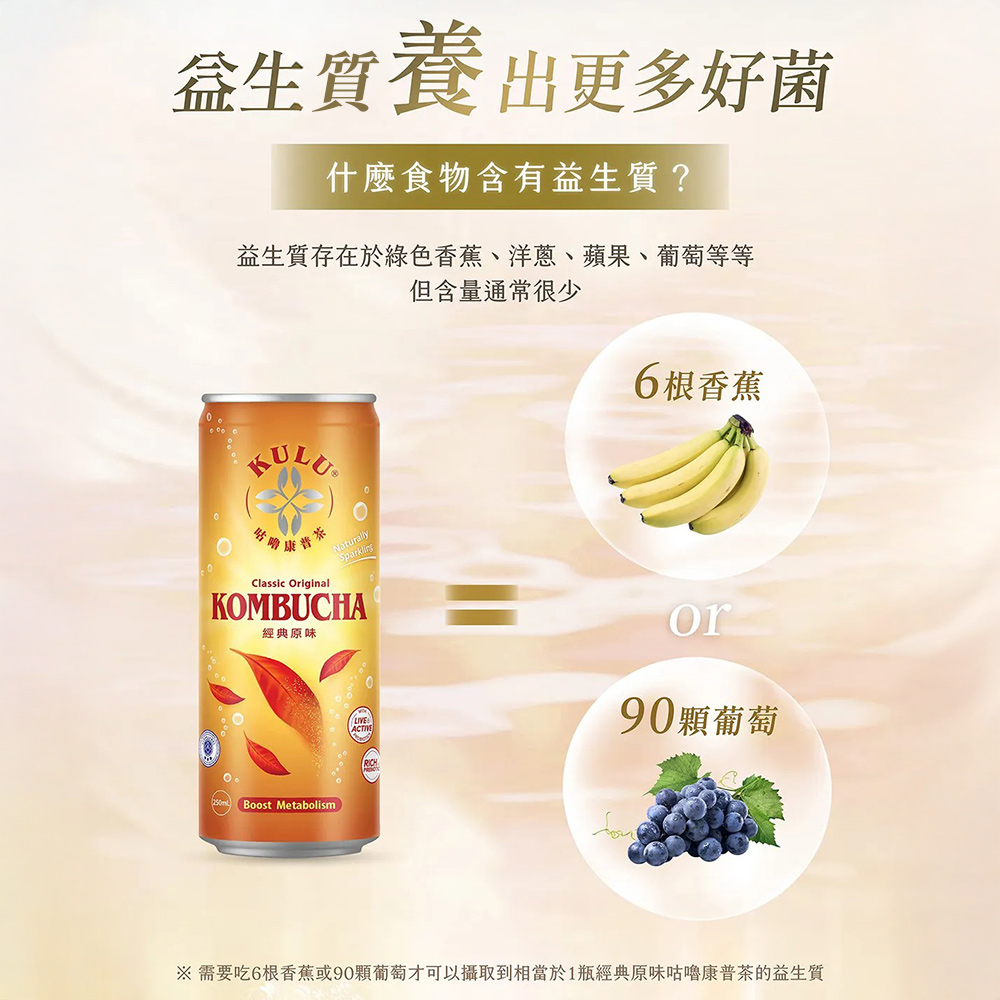 咕嚕康普茶(經典原味)