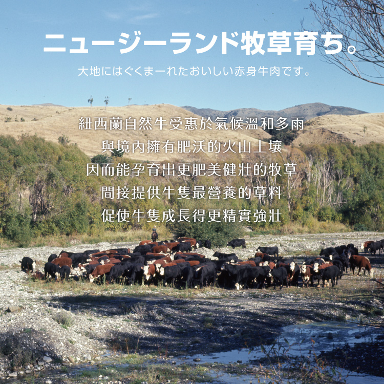 【勝崎生鮮】紐西蘭PS濕式熟成沙朗牛排280g