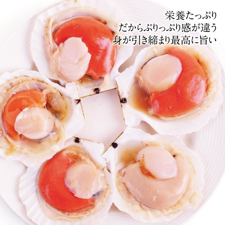 【勝崎生鮮】極鮮半殼扇貝300g