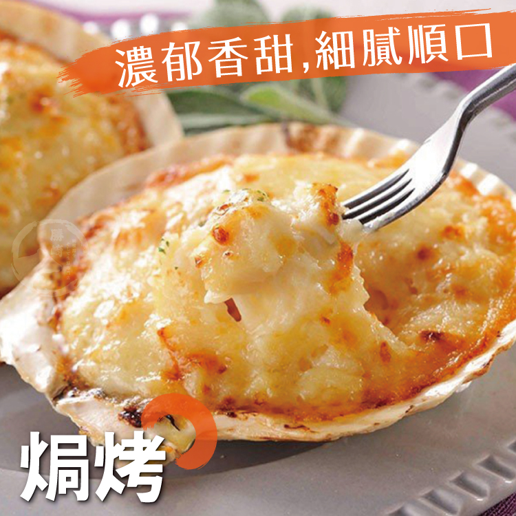 【勝崎生鮮】極鮮半殼扇貝300g