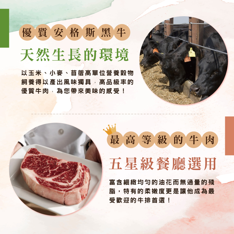 【勝崎生鮮】美國PRIME濕式熟成頂級肋眼牛排180g~質地細膩，重要時刻是您菜單上的首選！