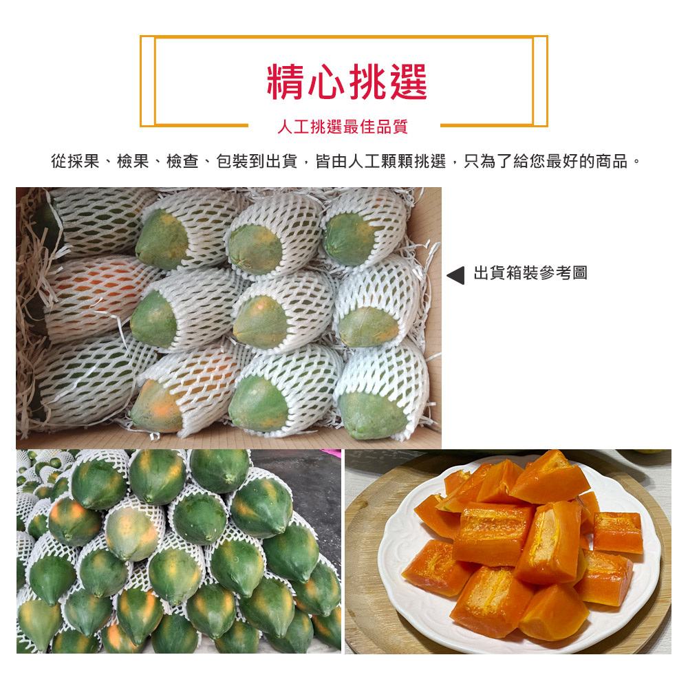 【草地囝仔 阿昌】屏東鹽埔台農2號木瓜10斤x1箱(產地直送_友善耕種)