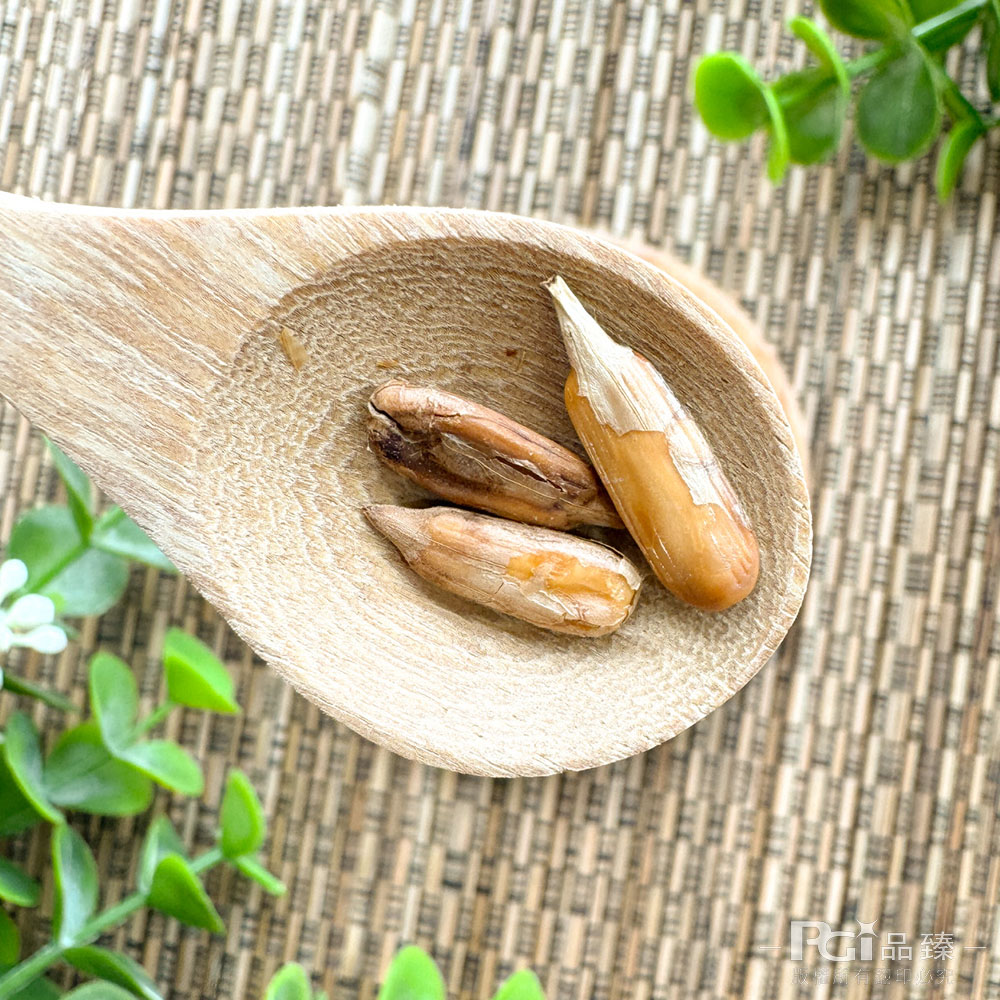 【海龍王】瓜子系列(香瓜子/竹鹽茴香/焦糖)(150g)