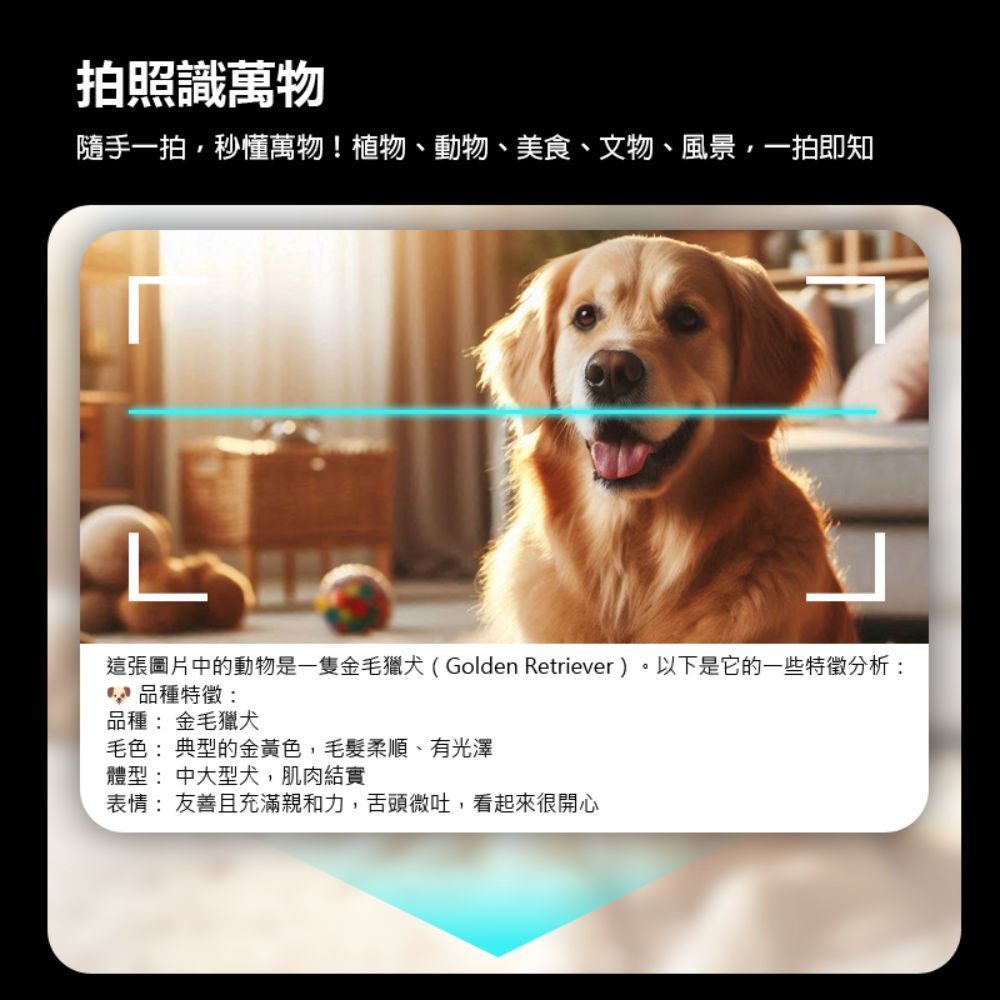 CW-50 Plus AI智能電話手錶 4G+64G(Volte新語音 AI繪圖 2吋曲面螢幕 PLAY商店 LINE來電通知)