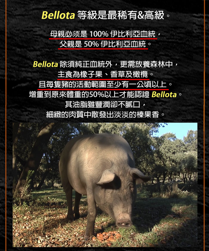 【築地一番鮮】橡實果Bellota伊比利豬肋條1包(150g/包)