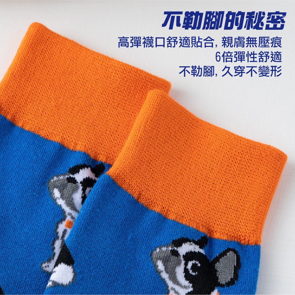 INS男女情侶款潮流時尚圖案趣味個性中筒襪子5入組
