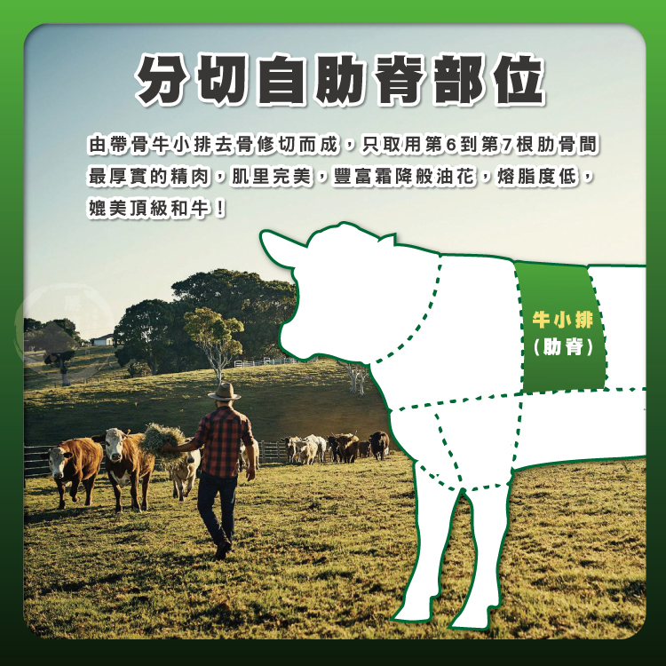 澳洲YP碳中和牛無骨牛小排110g