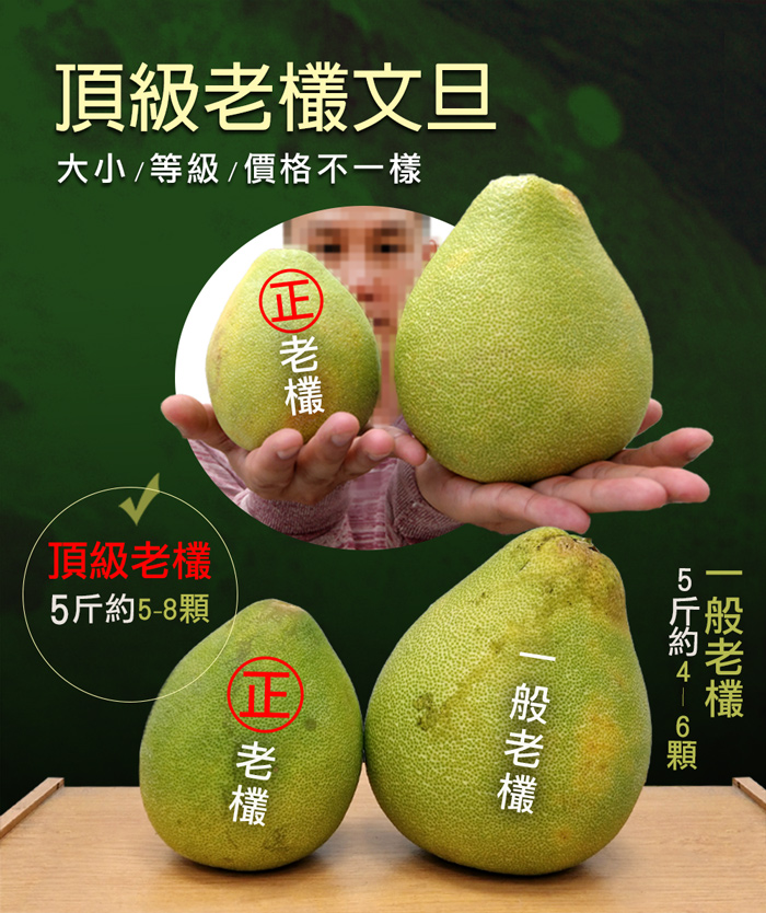 【築地一番鮮】65年以上金牌獎老欉花蓮小顆鶴岡文旦禮盒 