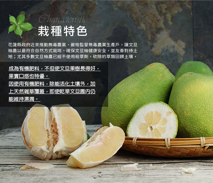 【築地一番鮮】65年以上金牌獎老欉花蓮大顆鶴岡文旦禮盒 