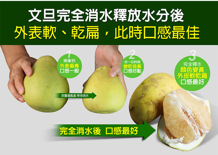 【築地一番鮮】65年以上金牌獎老欉花蓮大顆鶴岡文旦禮盒 