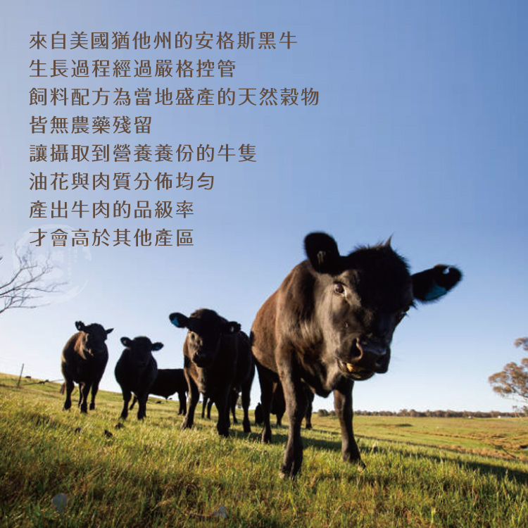 【勝崎生鮮】美國藍帶厚切凝脂霜降牛排300g