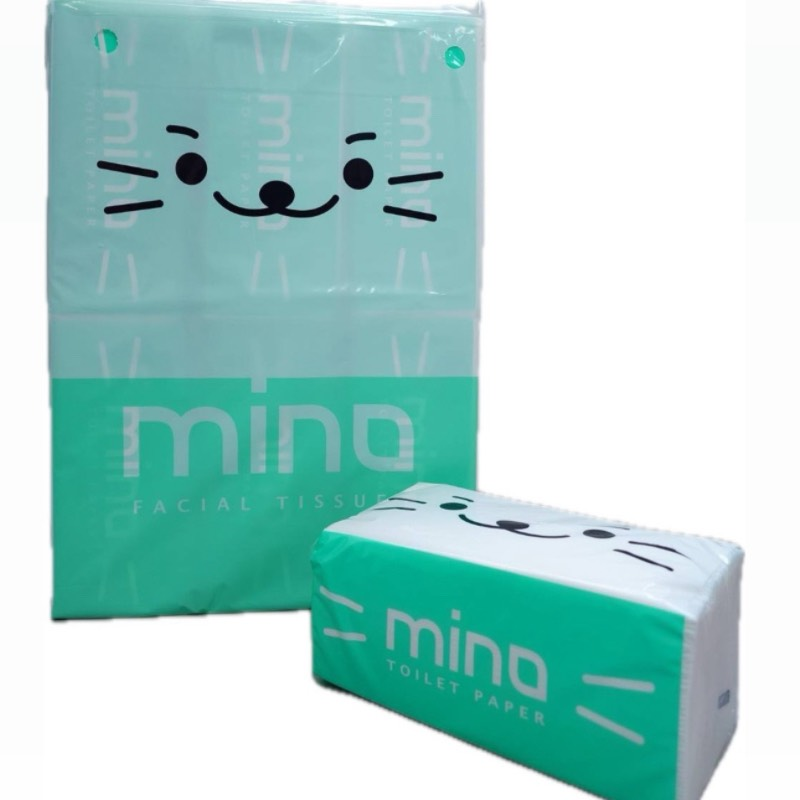 洣濃微風90抽衛生紙(6包x12串)x2箱