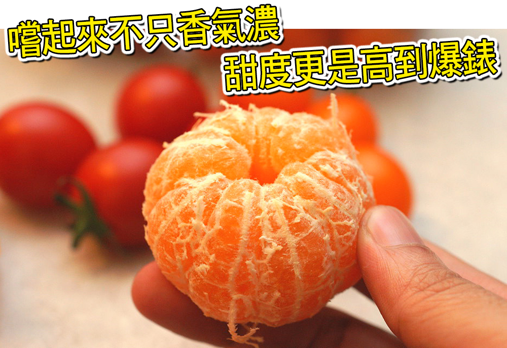 【台灣紅】大尺寸珍珠砂糖橘-五斤裝