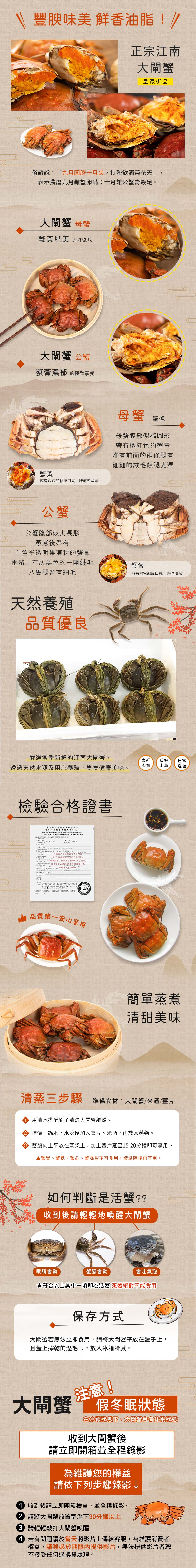 【禾鴻】預購  皇家御品江南大閘蟹公蟹x10隻(5.2兩-5.8兩/隻)