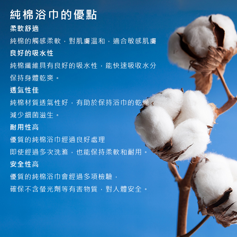 買1送1 POLO素色浴巾 送竹炭牙刷