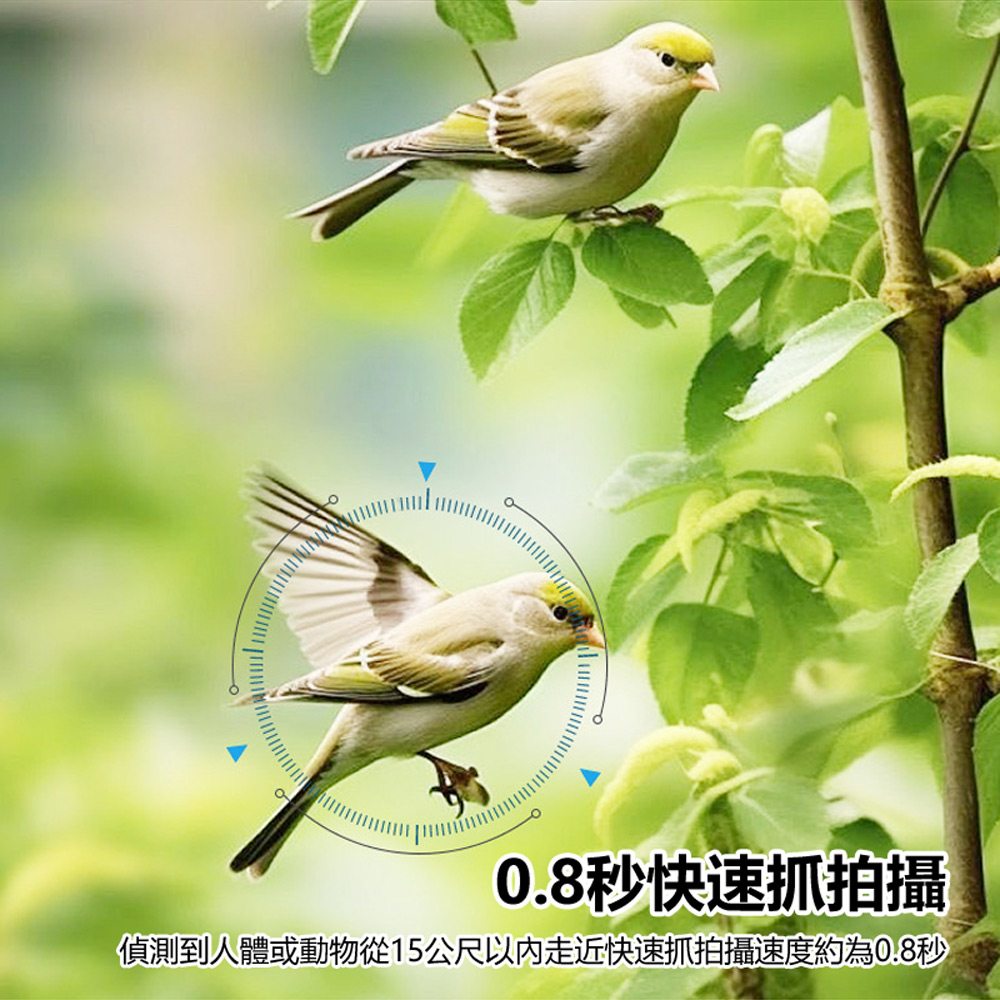 AG-15 4G SHOT 可插4G-SIM卡連網遠程監控 HD 1296P高畫質鏡頭紅外線夜視帶背夾防水防塵防摔戶外運動攝影機