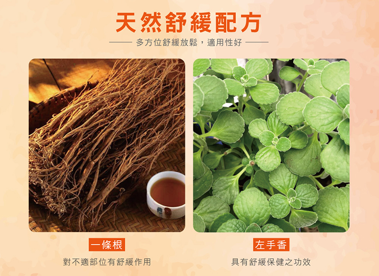 雙11下殺優惠$1111【正金牌】金門一條根貼片100片盒裝2盒組