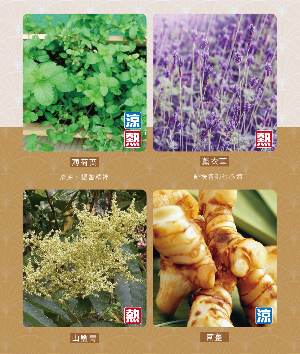 雙11下殺優惠$1111【正金牌】一條根舒緩貼片(涼/熱)10片入