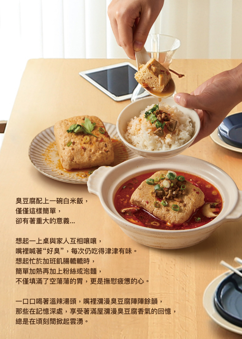 【上海鄉村】鄉村臭豆腐(450g)