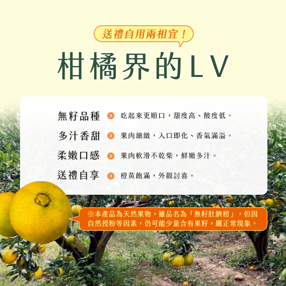 【雪莉朵辣嚴選】無籽肚臍柑（16-22顆） 10斤箱