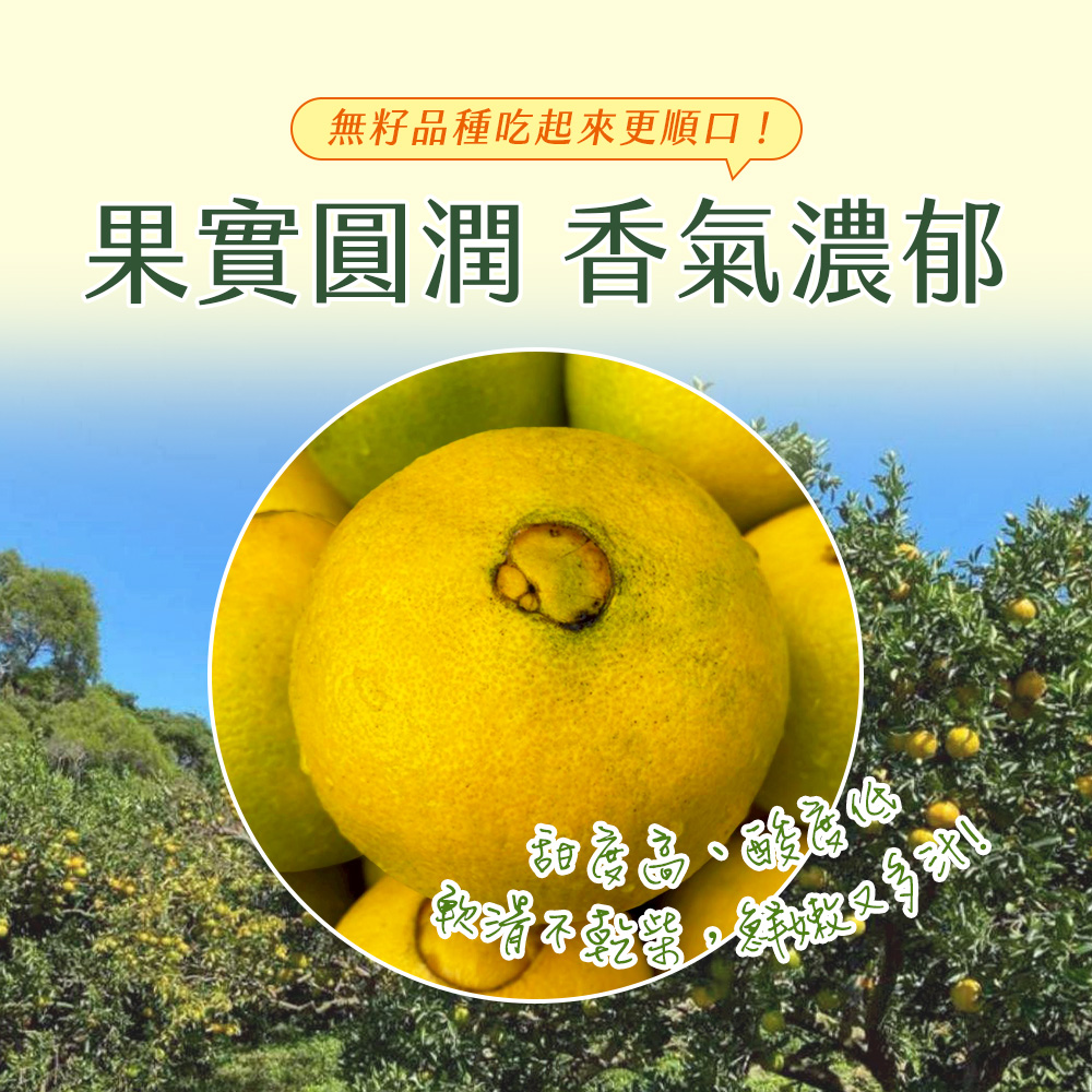 【雪莉朵辣嚴選】無籽肚臍柑（16-22顆） 10斤箱