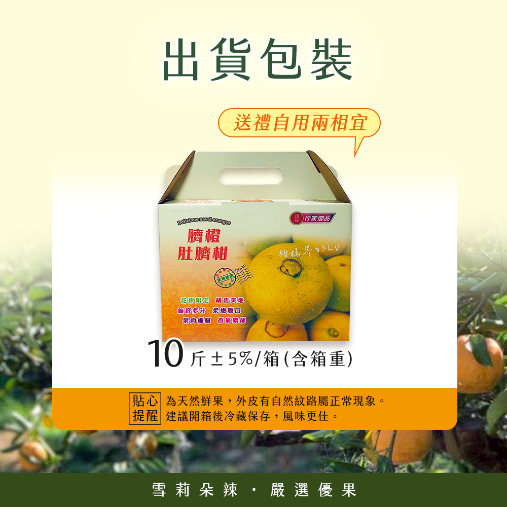 【雪莉朵辣嚴選】無籽肚臍柑（16-22顆） 10斤箱