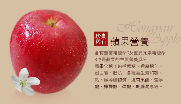 【築地一番鮮】紅顏姬｜S尺寸｜日本青森蘋果禮盒組｜18±2顆｜4.8kg